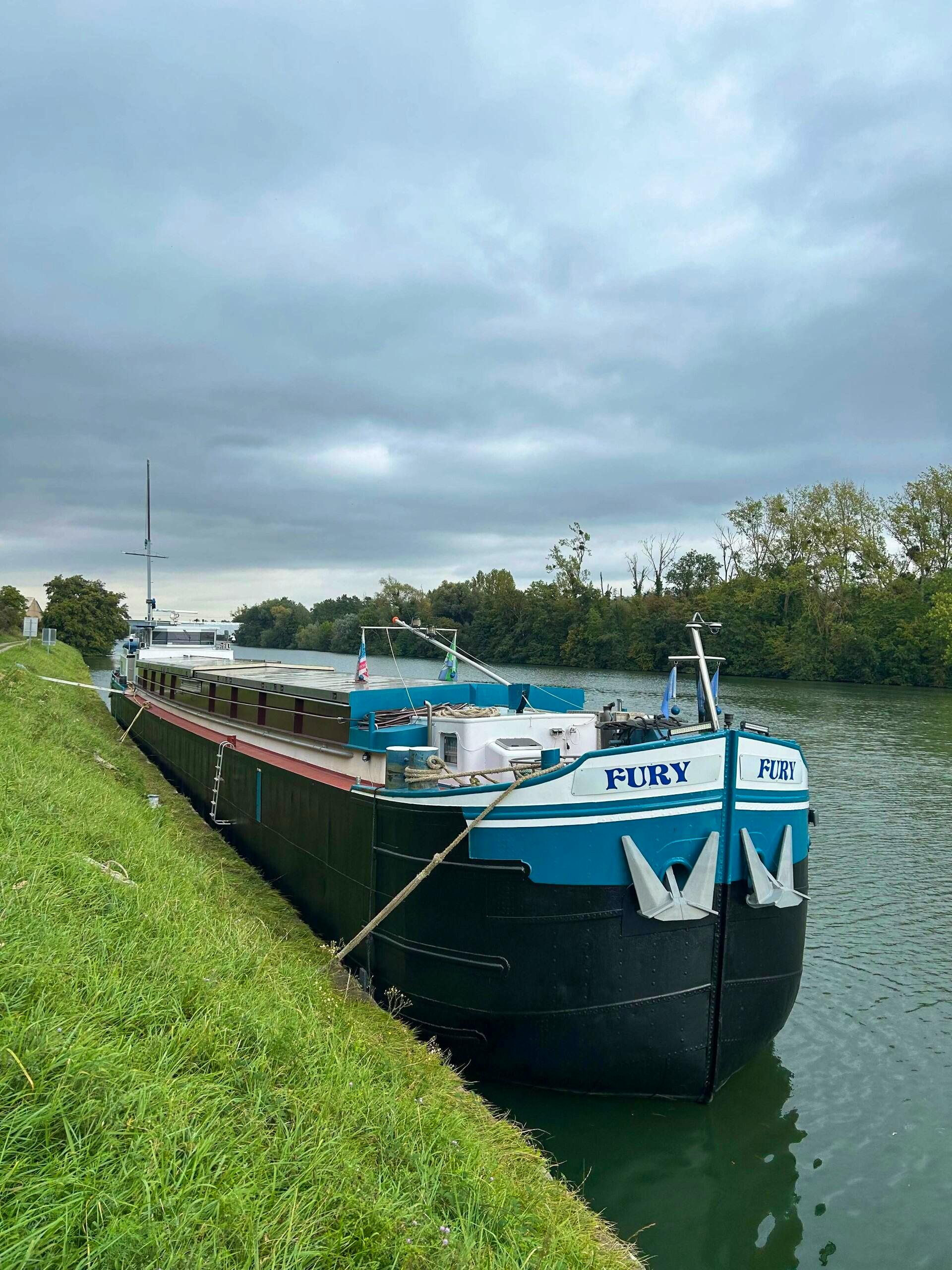 Fury — thumbnail 4